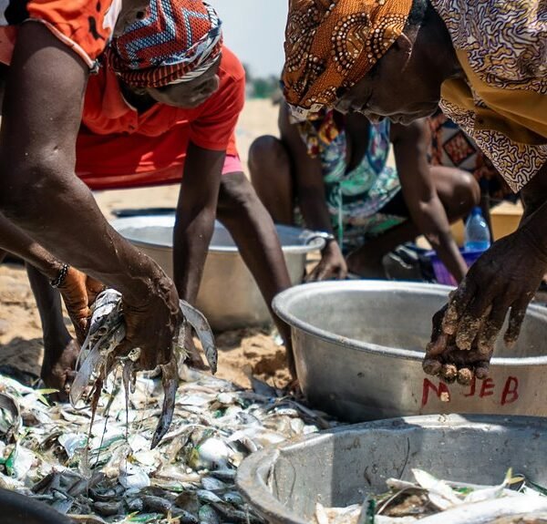 Enterprise Process Activity Brief for 6139092803, 3291533879, 6788409055, 213596400, 676800060, 693115692