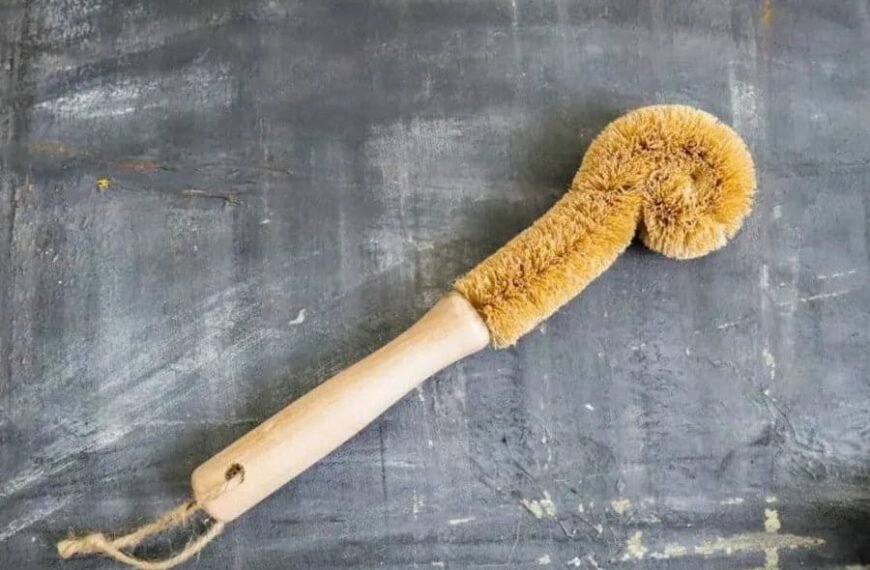 Bottle Cleaning Brush: A Must Have Tool for Effective Kitchen Hygiene